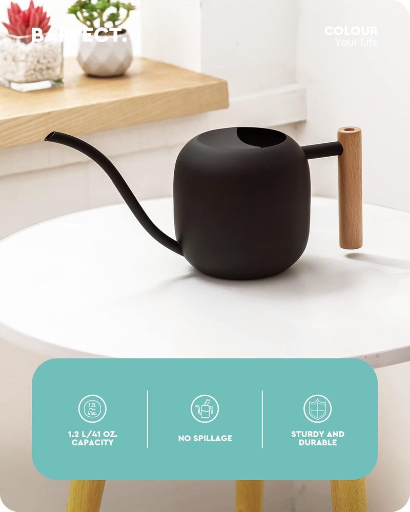 baffect Watering Can Indoor Plants, 1.2L/41OZ Cute Watering Can Pot, Metal Stainless Steel Garden Water Can with Long Spout for Indoor House Plants Bonsai Outdoor Garden Flower Decorative - Image 2